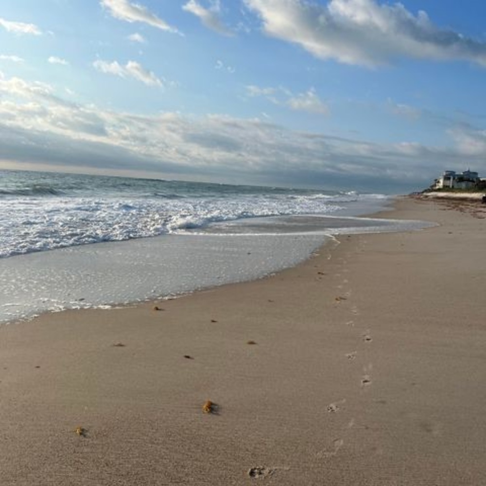 Meet your Posher, Genevieve